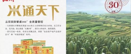 东风,东南,昂扬,长安