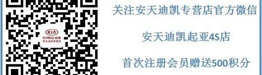 起亚,东风,宝马,保时捷,福克斯