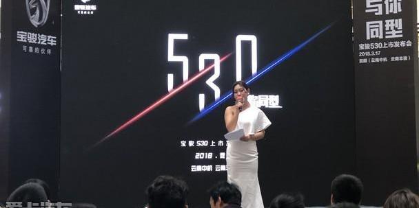 宝骏,型格,曼,大发,现代