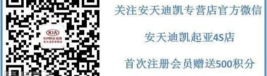 东风,起亚,智跑