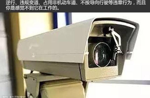 红旗,东南,斑马,汉