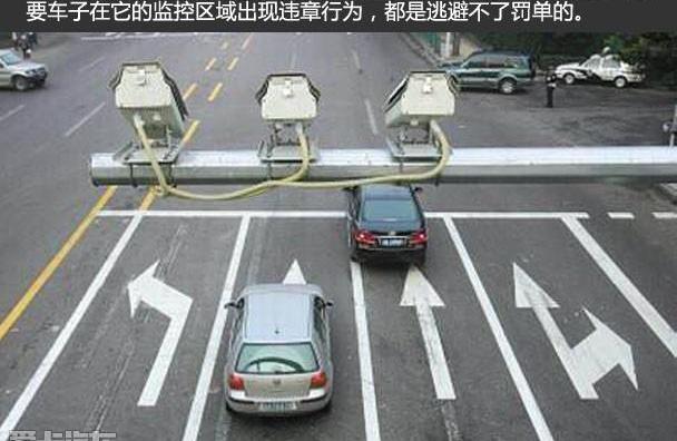 红旗,东南,斑马,汉