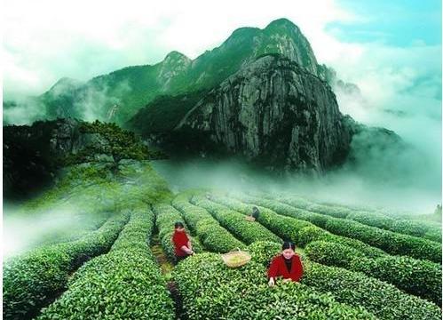东风,起亚,福瑞迪,智跑