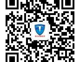 众泰,理念,特斯拉,远程