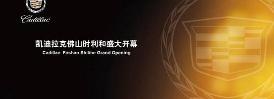 凯迪拉克,理念,东南,曼,远程