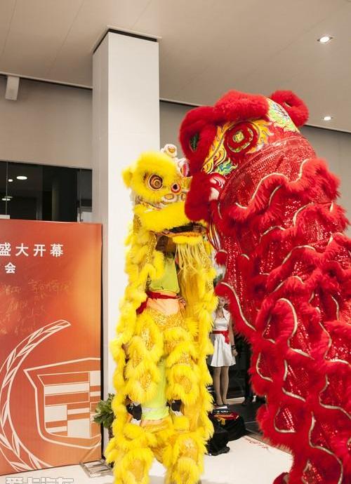 凯迪拉克,理念,远程