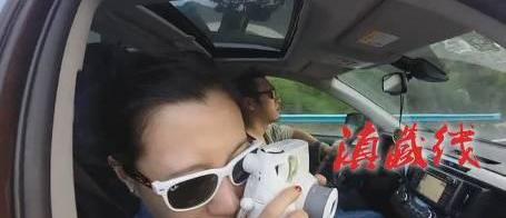 丰田,一汽,北京,汉