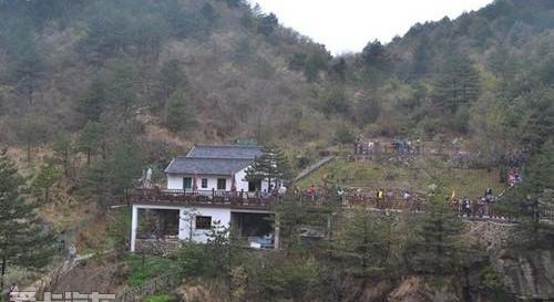 福特,发现
