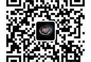 凯迪拉克,理念,大发