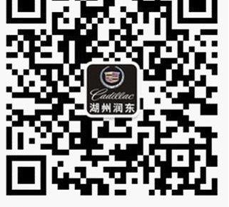 凯迪拉克,北京,远程