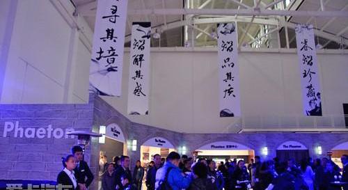 大众,宾利,现代