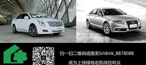凯迪拉克,奥迪,奥迪A6,奥迪A6L,奔驰
