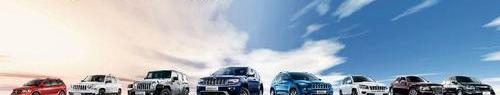 Jeep,牧马人,MINI,特斯拉,大众