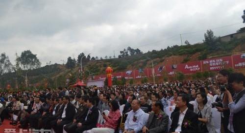 宝马,林肯,宝马X5,奔驰,丰田