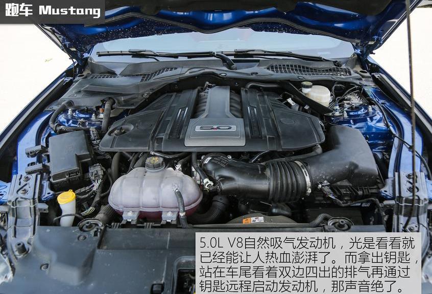 雅阁,马自达,Mustang,福特,阿特兹