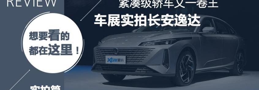 长安,逸达,鲸