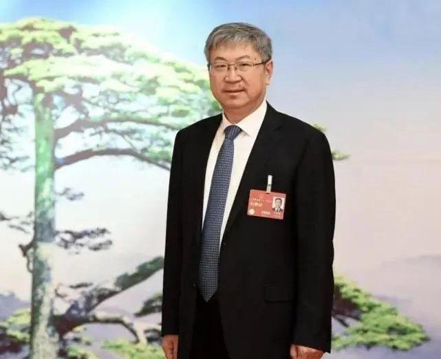 小鹏,长安,海马,北京,广汽集团