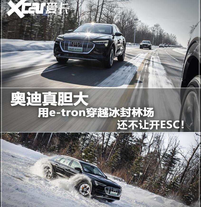 奥迪,奥迪Q8