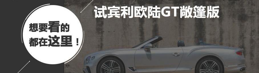 宾利,添越,欧陆,飞驰