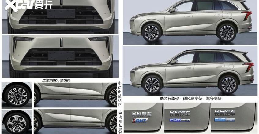 魏牌,蓝山DHT-PHEV,大众,理想L8