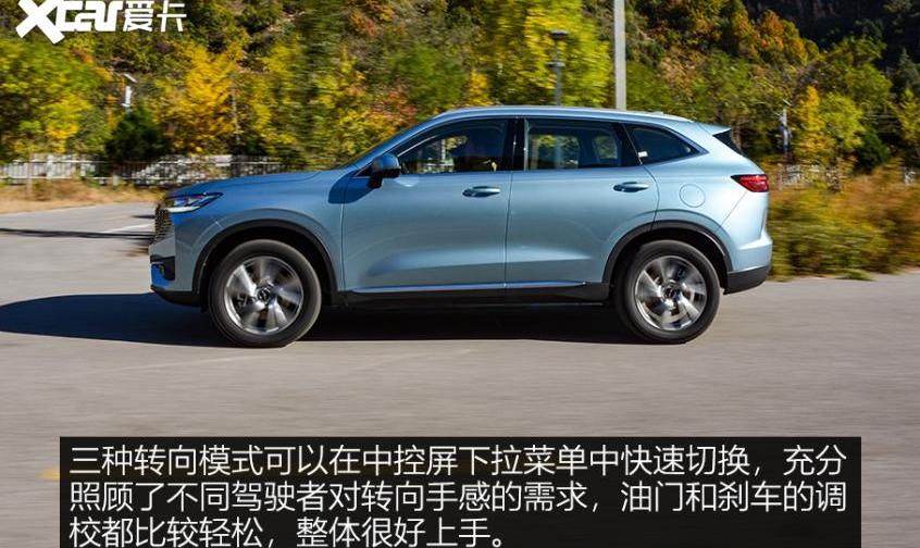 哈弗,哈弗H6,哈弗H6 DHT-PHEV