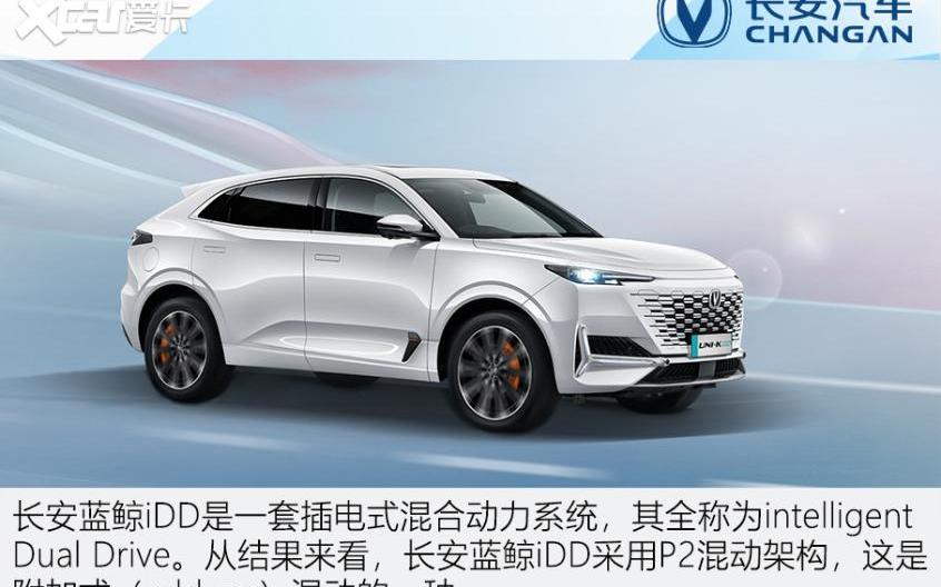 鲸,长安,本田,比亚迪,丰田