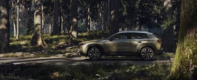 马自达,长安,DS,马自达CX-50,马自达CX-5