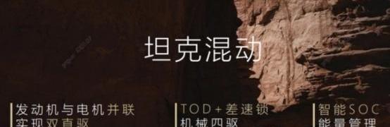 坦克,坦克500,坦克300