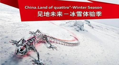 奥迪,大众,优越,一汽