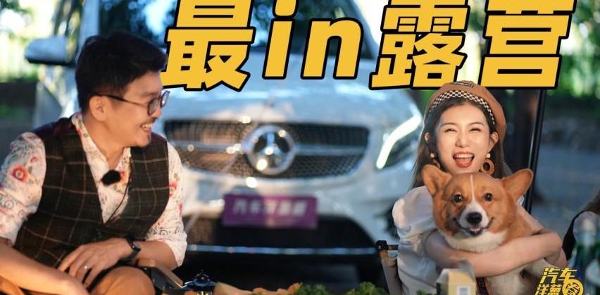 奔驰,奔驰V级,卫士
