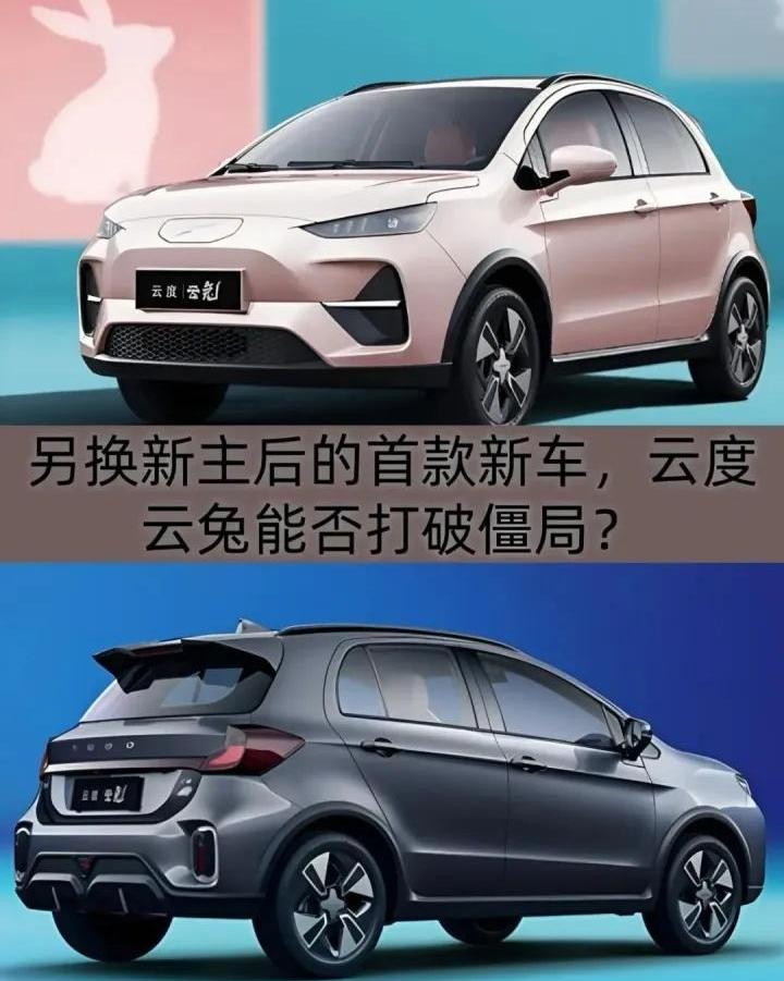 云度,云兔,爱驰,炮,蔚来