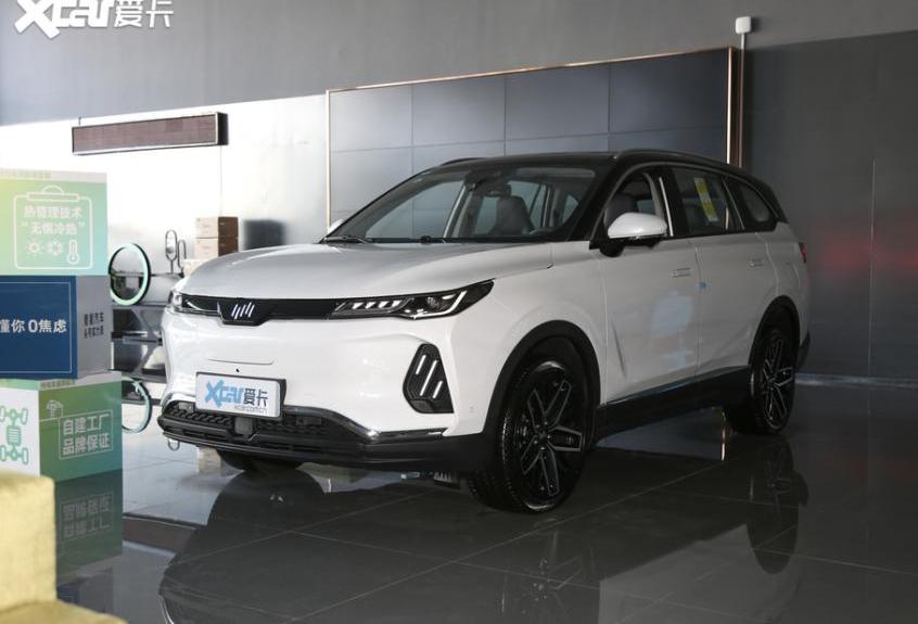 东风,威马汽车,吉利汽车,零跑汽车,哪吒汽车