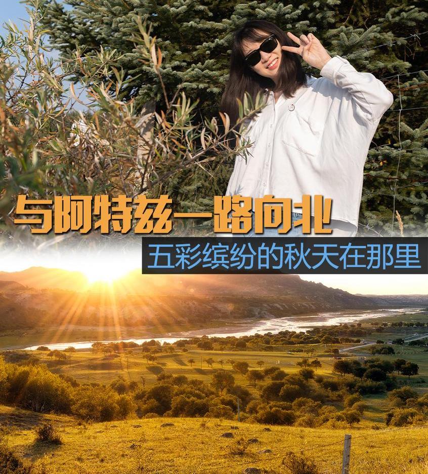 北京,马自达,阿特兹,丰田,朗逸