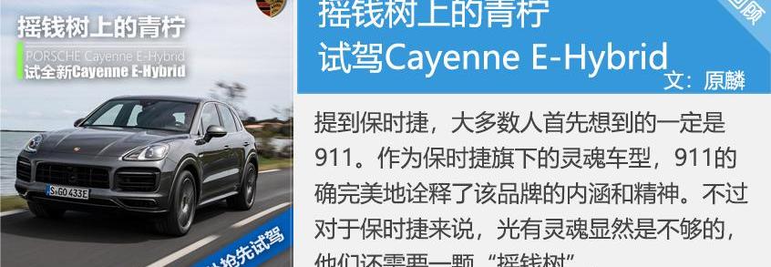 Cayenne,保时捷,Cayenne E-Hybrid,远程