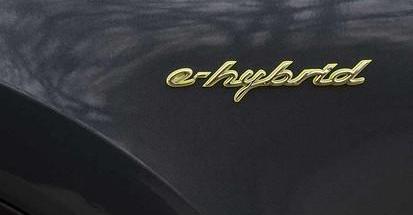 Cayenne,保时捷,Cayenne E-Hybrid,远程