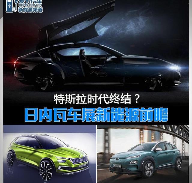 奥迪,大众,斯柯达,特斯拉,保时捷