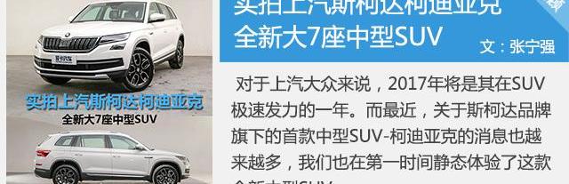 柯迪亚克,斯柯达,大众,途观L,DS