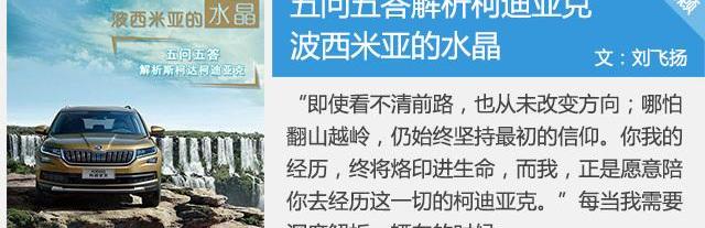 柯迪亚克,斯柯达,大众,途观L,DS
