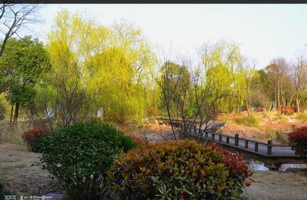 马自达,阿特兹