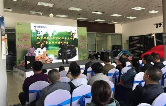现代,北京,途胜
