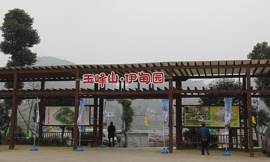 马自达,长安,北京