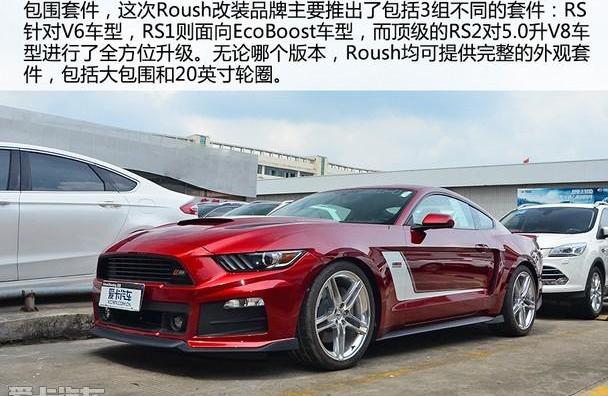福特,Mustang,炮