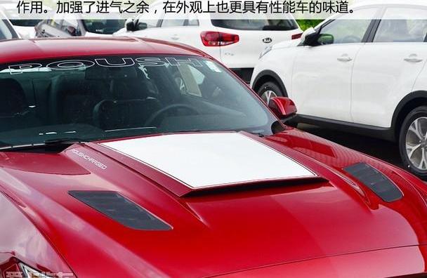 福特,Mustang,炮