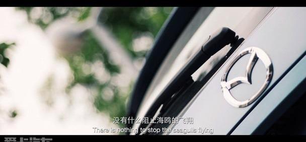 海鸥,长安,大众,速腾,福克斯