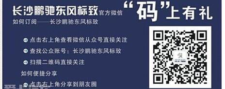 标致,东风,标致408