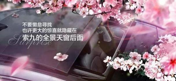 索纳塔,发现