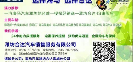 海马,奔腾