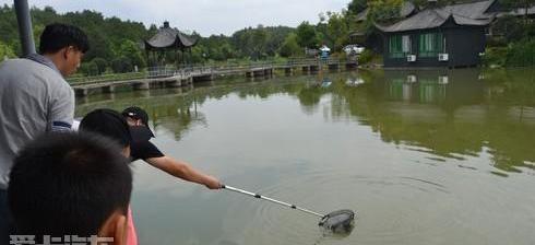 奔驰