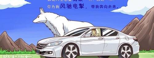 雅阁,金龙