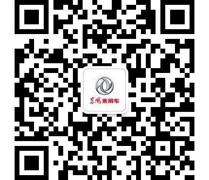 东风,东风风神,大发,桑塔纳,捷达